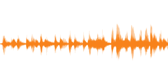 Diktierfunktion